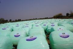 Fodder-Management-img-2