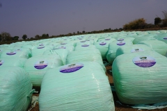 Fodder-Management-img-3