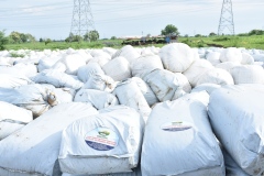 Fodder-Management-img-5